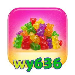 wy636