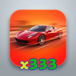 x333